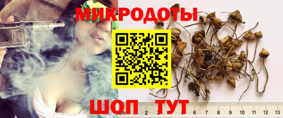 Псилоцибиновые грибы GOLDEN TEACHER  Галлюциногенные грибы мицелий  Вход с VPN  Октябрьский 